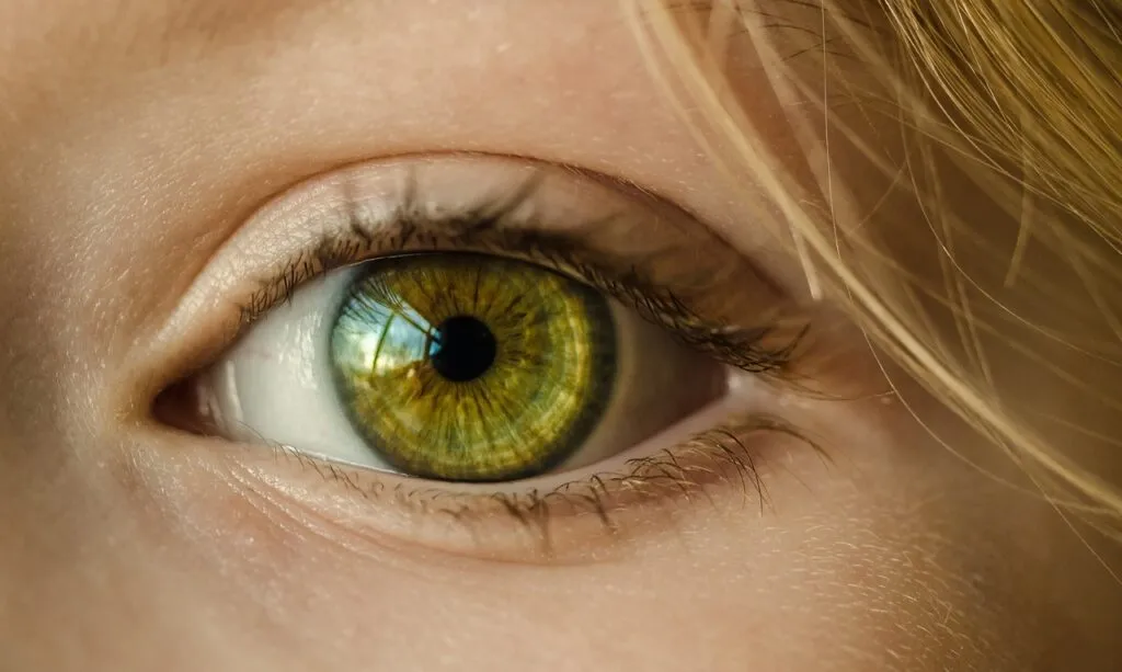 Tutto ciò che c’è da sapere sulla cura degli occhi: miopia e patologie oculari