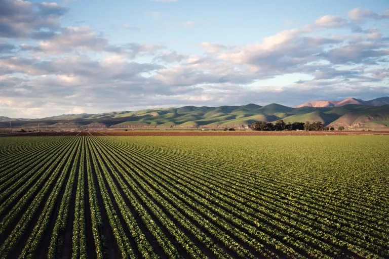 Puglia: Protocollo di Intesa per realizzare sistemi agrivoltaici 4.0