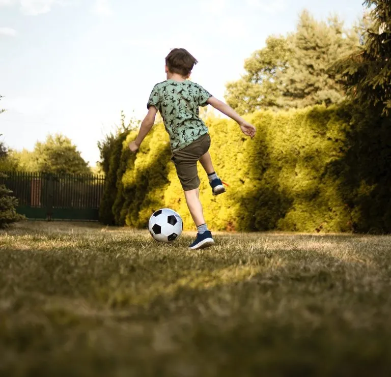 Calcio, arriva il corso universitario per manager sostenibili