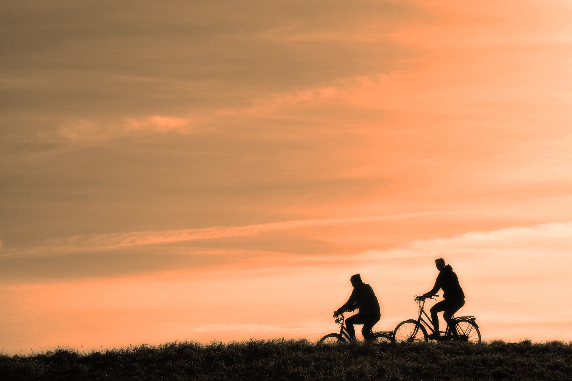 Sciame di biciclette