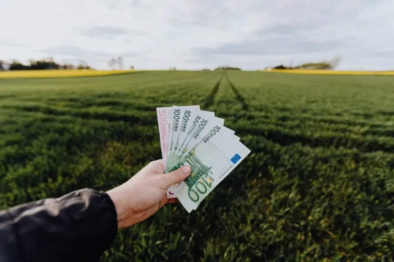 Dove conviene tenere i soldi? Ecco le opzioni migliori