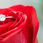 Il significato della rosa stabilizzata