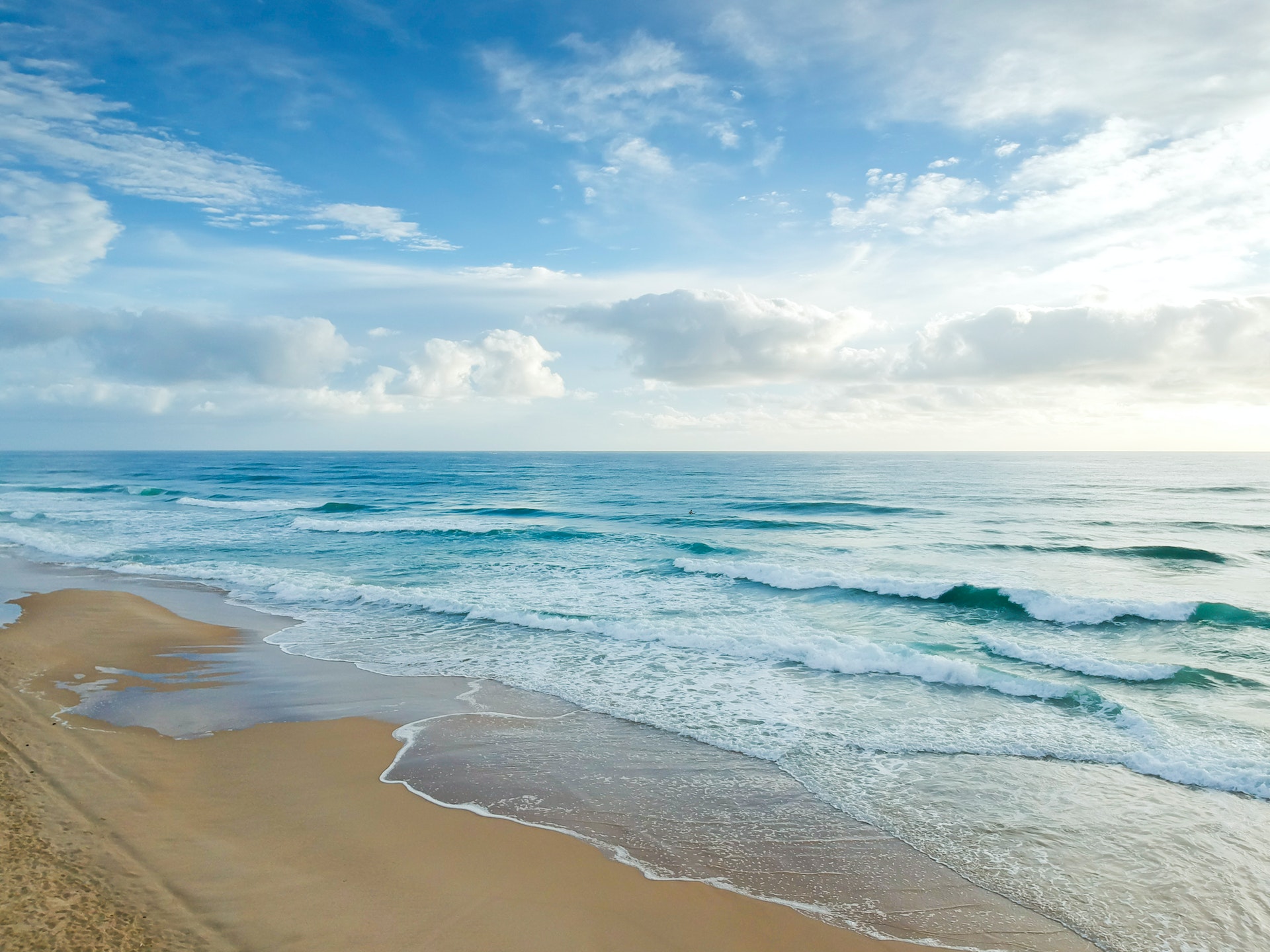 Capraia è nota soprattutto per le bellissime spiagge che costellano l'isola e si sposano con le splendide acque turchesi: quali sono le più suggestive.