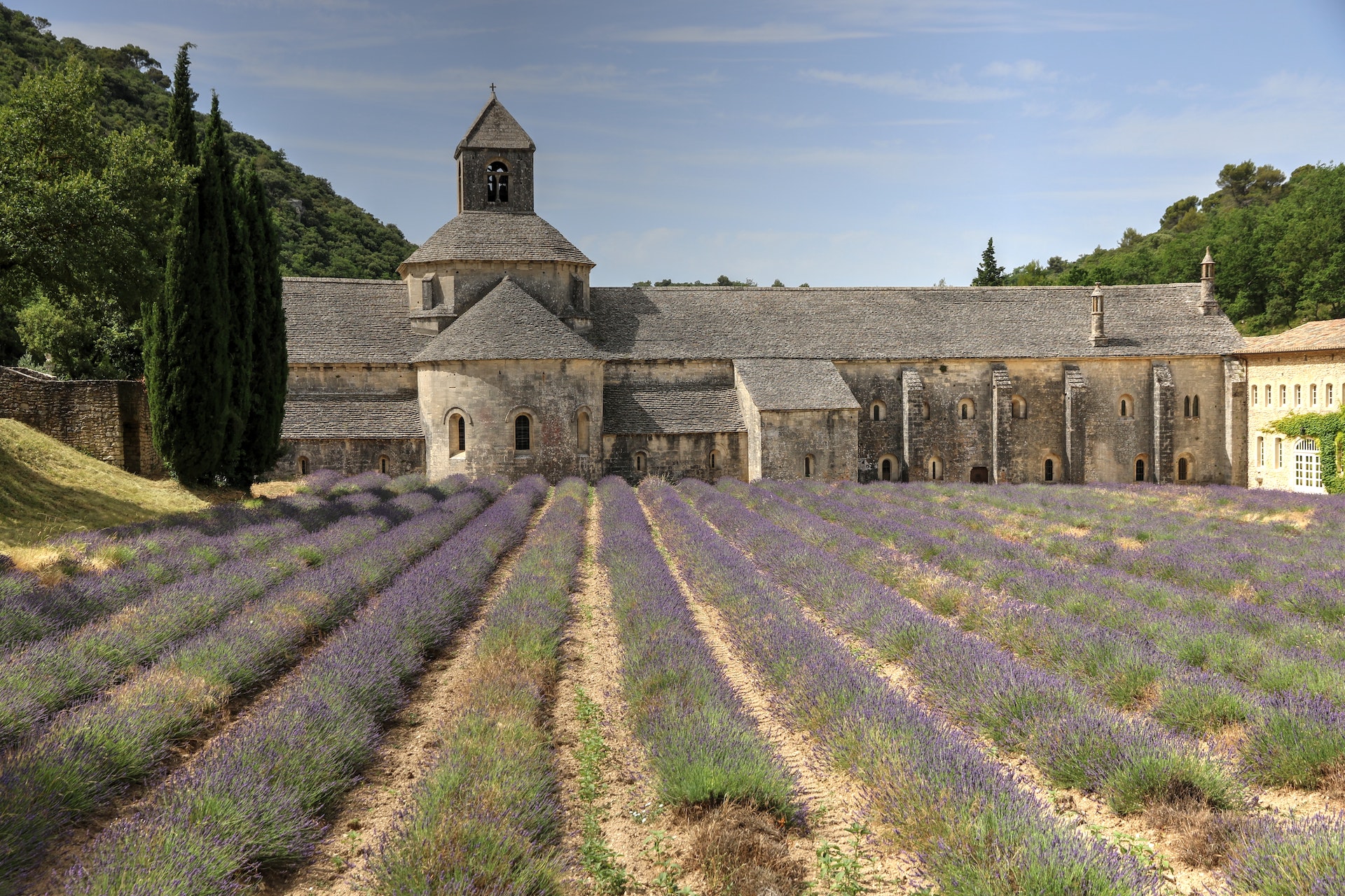 La regione della Provenza fa i conti con siccità che si alterna a grandinate, causando ingenti danni ai raccolti.