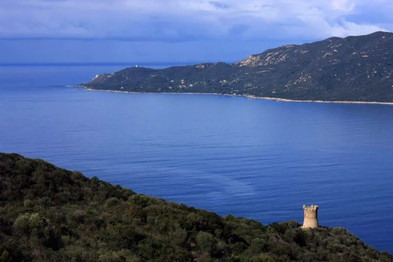 Traversata a nuoto Corsica-Capraia per promuovere la sostenibilità