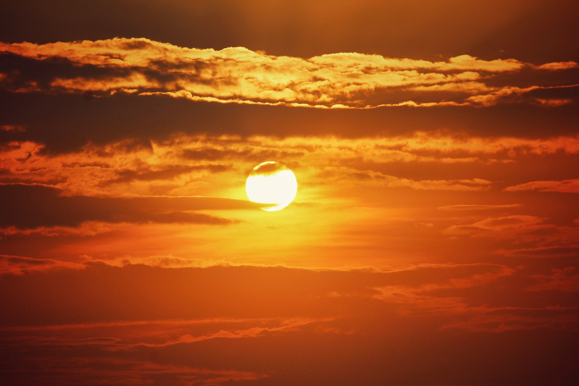 Secondo le ultime previsioni meteo, il caldo da record di questi ultimi giorni continuerà ancora per un po' con temperature fino a 48 gradi.