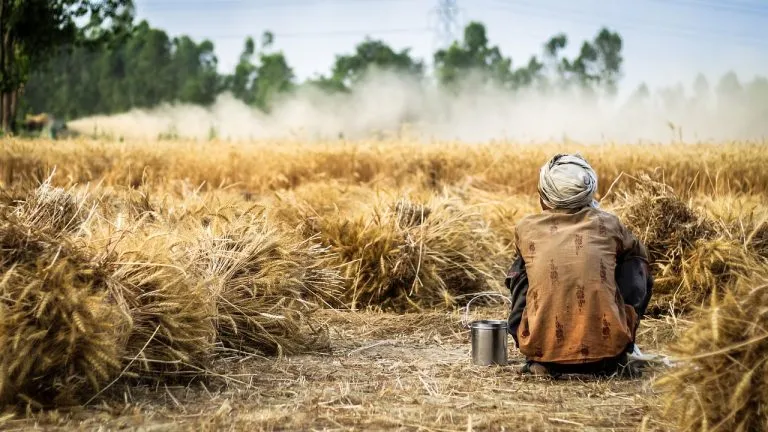 Il governo dichiara lo stato di calamità naturale per l’emergenza siccità in Italia