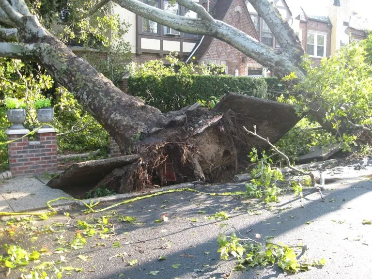 Tornado a Jesolo, 80 metri di litorale in rovina: attrezzature balneari disperse nell’area di Pineta