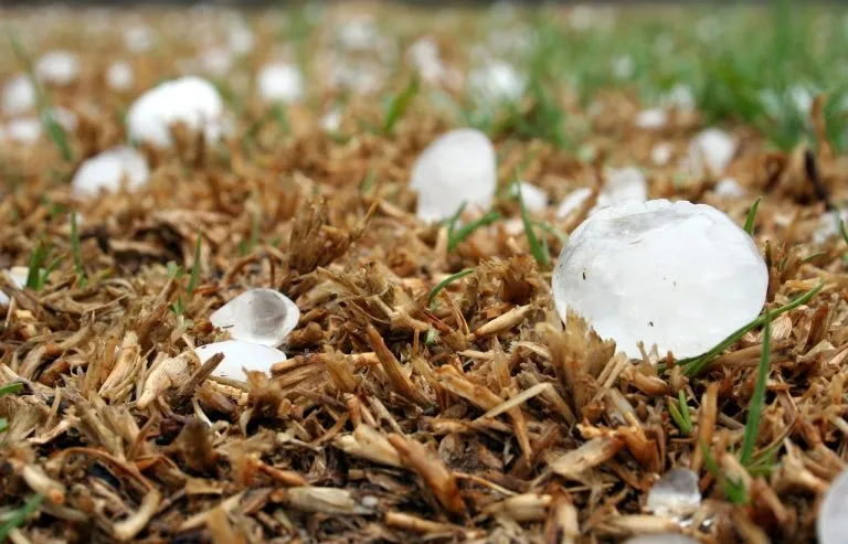 Previsioni Meteo: Il Ciclone Poppea potrebbe portare grandine di dimensioni significative!