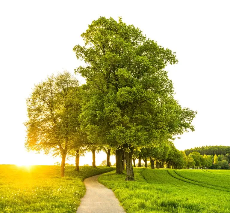 Toscana: avviato il progetto Empoli Carbon Neutral
