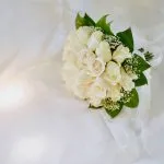 Fiori bianchi: i nomi e il loro significato