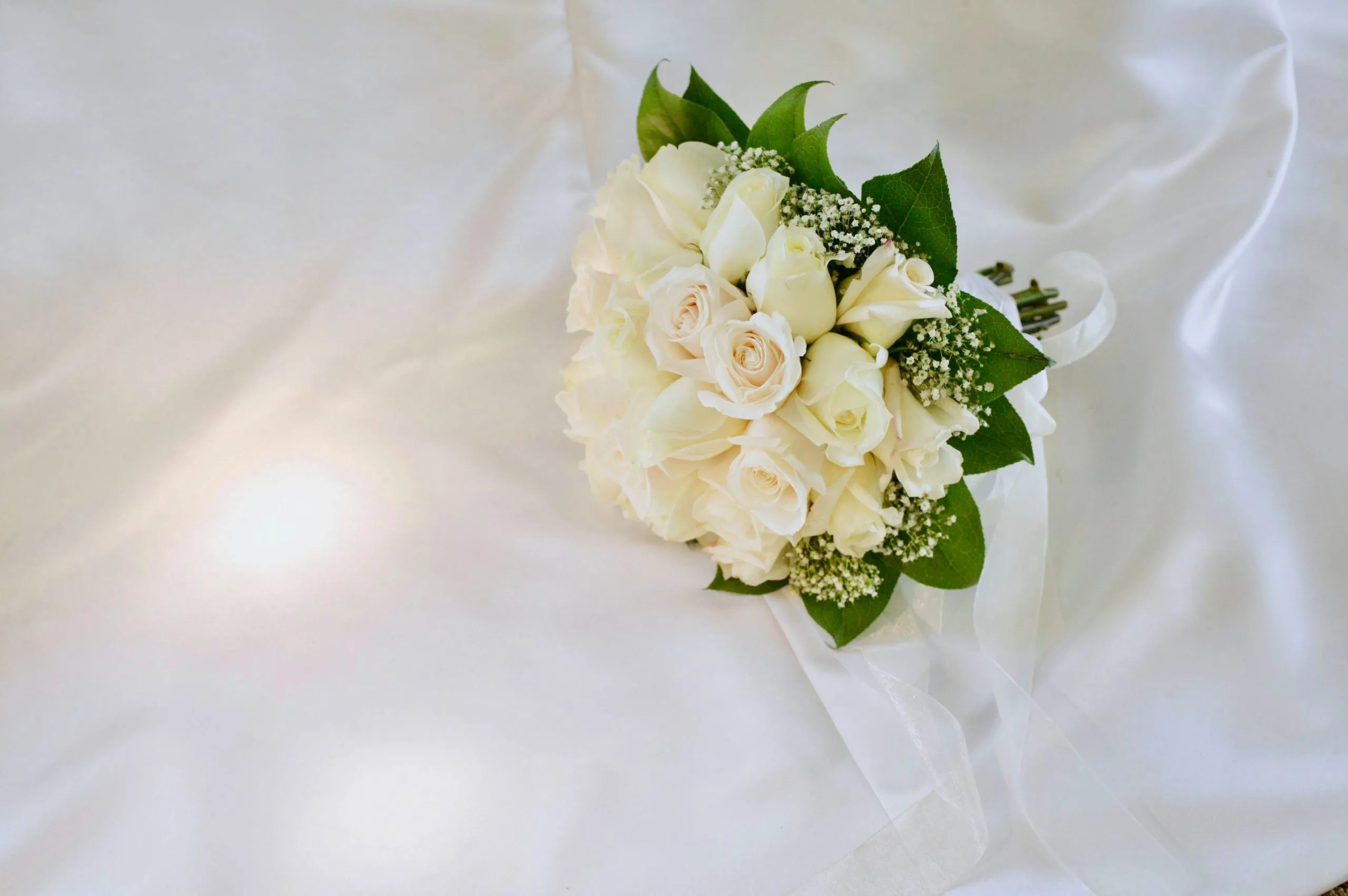 Fiori bianchi: i nomi e il loro significato